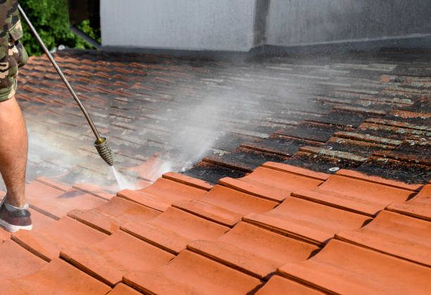 Best Deck Pressure Washing  in Mulberry, AR